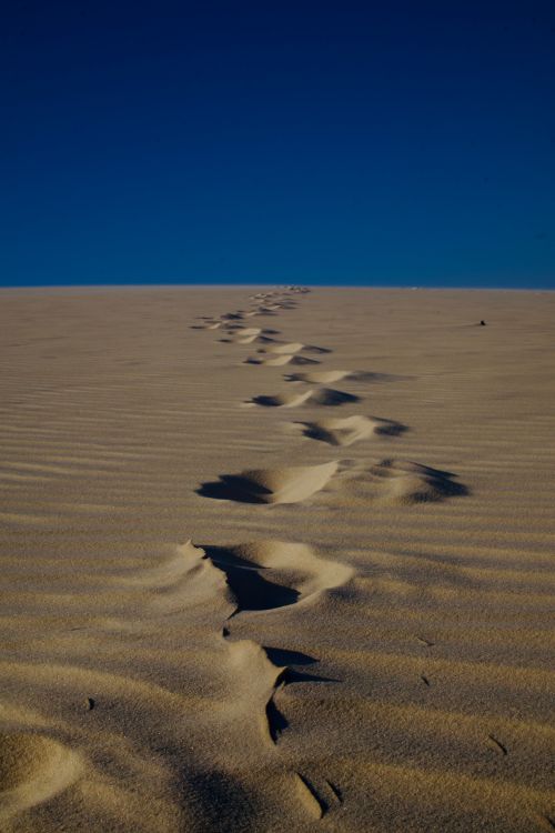 Free Footprints leading through vast desert sand dunes under a clear blue sky. Stock Photo