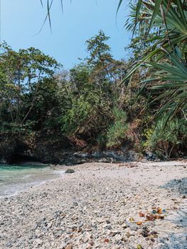 Discover a tranquil tropical beach surrounded by lush greenery and crystal-clear waters.