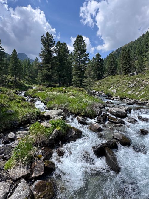 Free Serene alpine stream flowing through lush green forest in Tyrol, Austria. Stock Photo