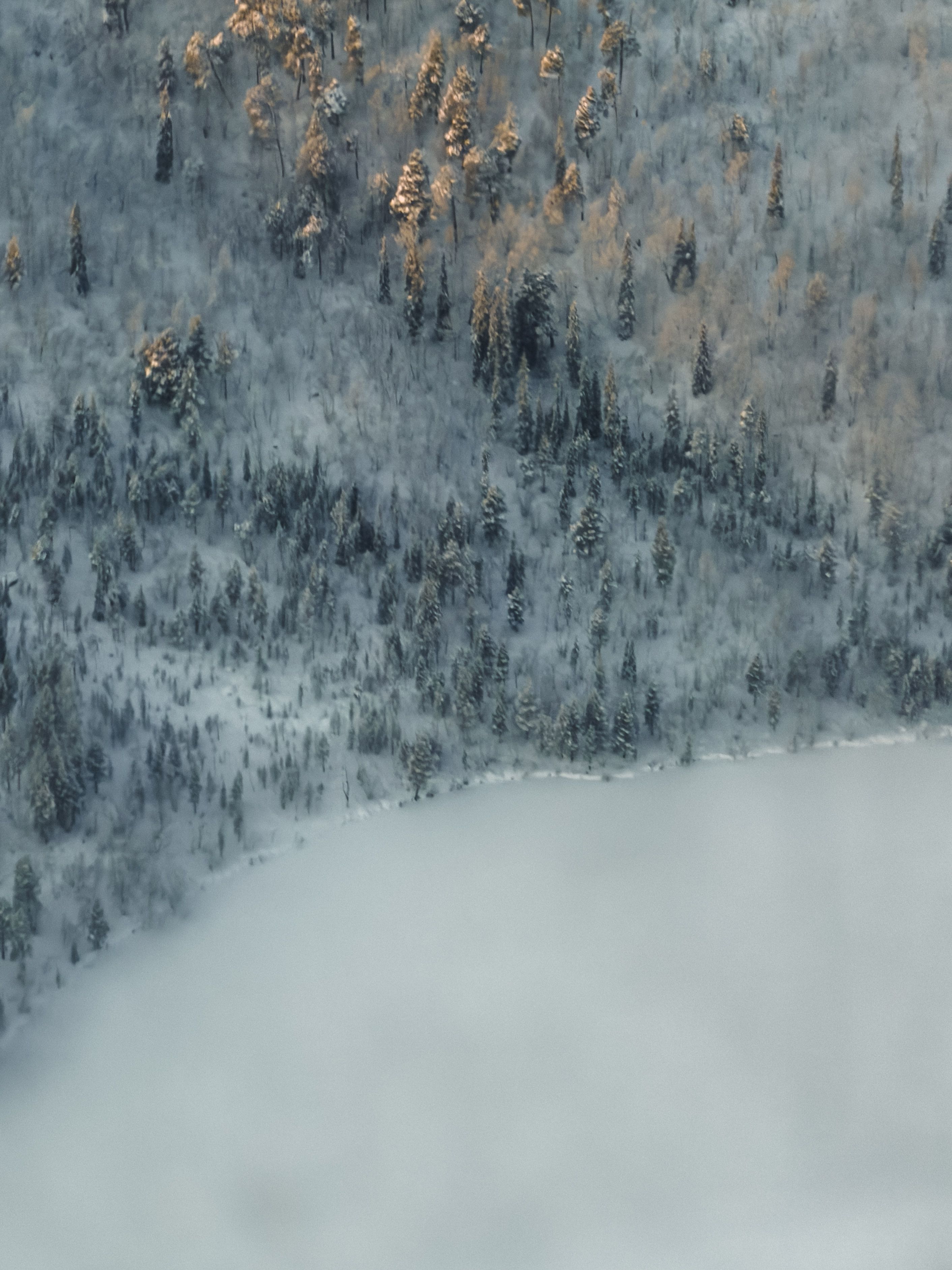 Aerial view of snow-covered forest in Murmansk, Russia during winter.