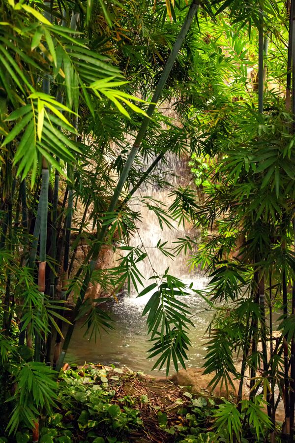Moganshan