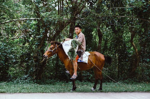 Man in Brown Long Sleeve Shirt Sitting on Brown Horse