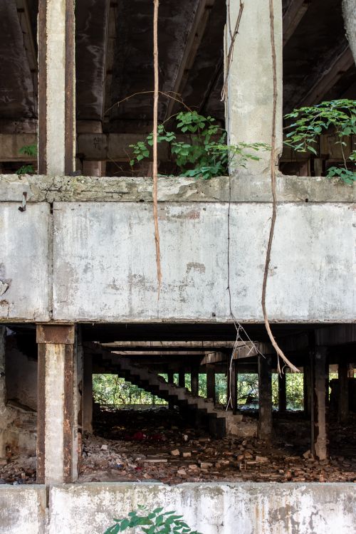 Free Explore the beauty of urban decay with this abandoned concrete structure engulfed by nature. Stock Photo