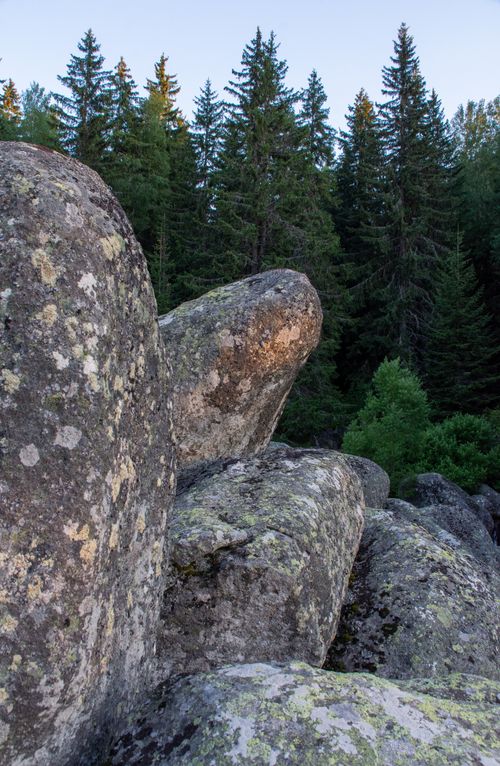Free Majestic rocks among dense evergreen forest under clear sky in a serene outdoor setting. Stock Photo