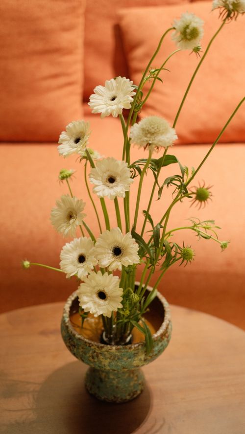 Free Beautiful white flowers elegantly arranged in a vase, providing a serene indoor decor ambiance. Stock Photo