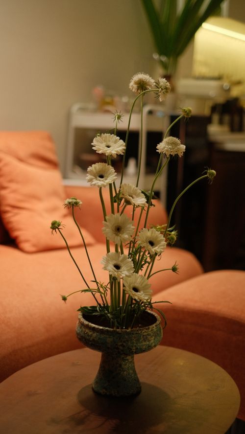 Free Charming arrangement of white daisies in a vase on a table in a cozy indoor setting. Stock Photo