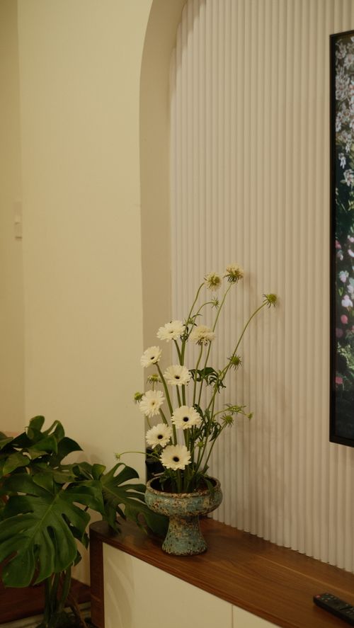 Free Elegant indoor setting with white daisy flowers and tropical plant decor on a wooden cabinet. Stock Photo