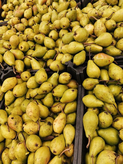 Free Abundant display of ripe pears, showcasing fresh produce in a market setting. Perfect for seasonal themes. Stock Photo