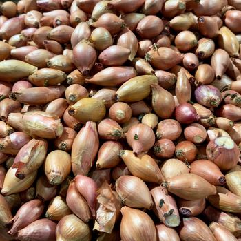 Pyaaz (Onions)