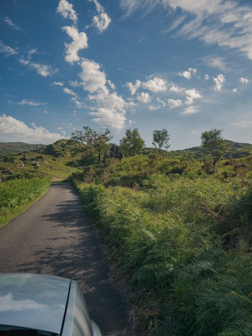 Free Idyllic Irish countryside with a narrow road, surrounded by lush greenery and a clear blue sky. Stock Photo