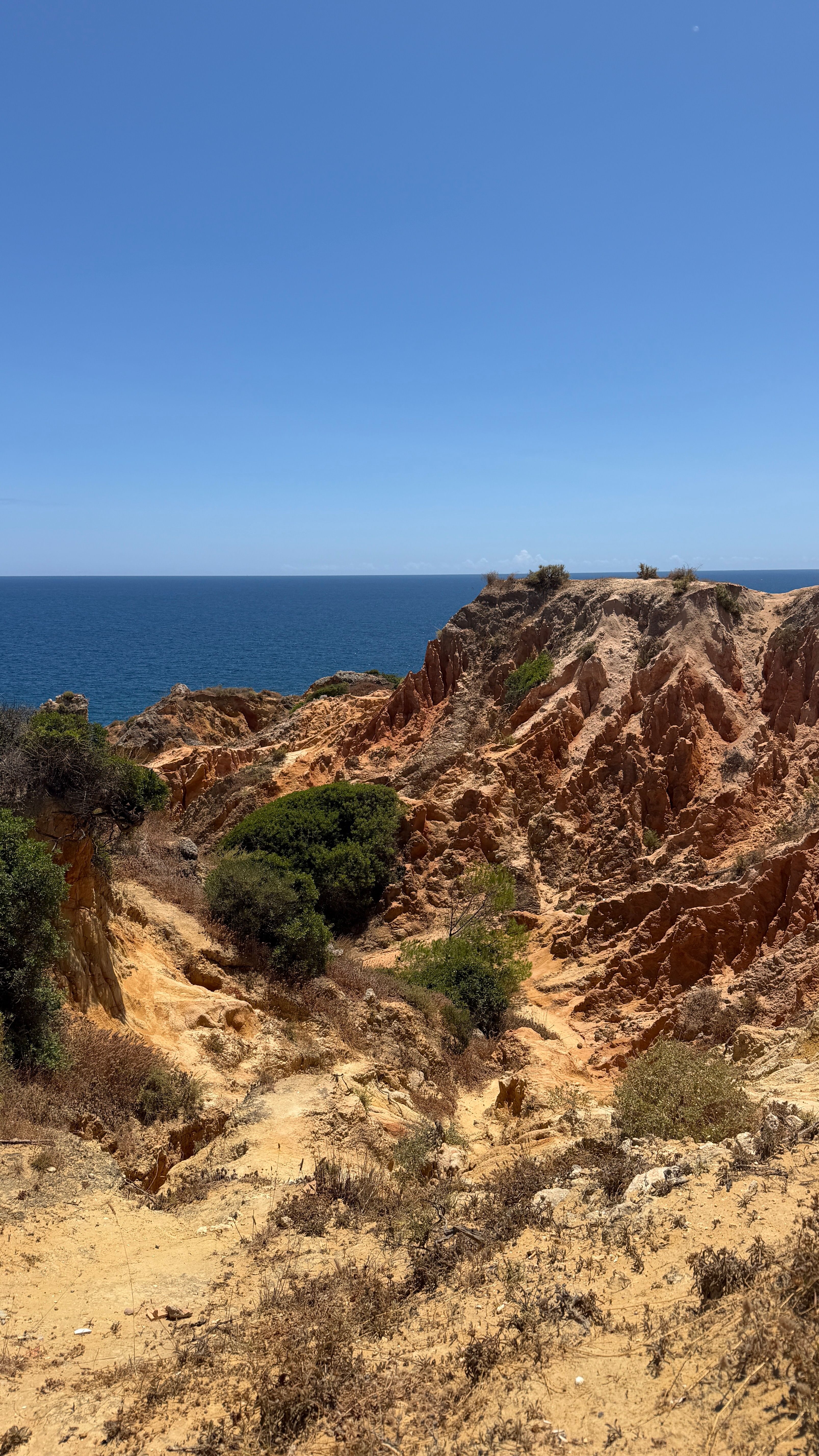 Inseguimento in Algarve si conclude con 5,3 tonnellate di hashish sequestrate e sette arrestati