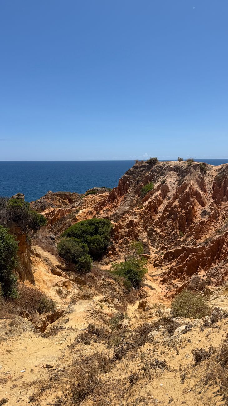 Inseguimento in Algarve si conclude con 5,3 tonnellate di hashish sequestrate e sette arrestati