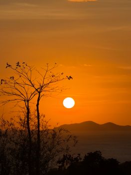A breathtaking view of the sunset over the horizon in the Philippines, highlighting silhouettes of trees.