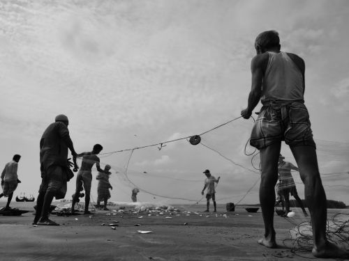 Free Black and white photo of fishermen working together to cast nets on a beach. Stock Photo