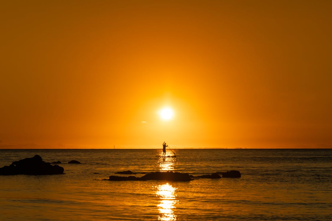 Silhouette of Person on Sea during Sunset