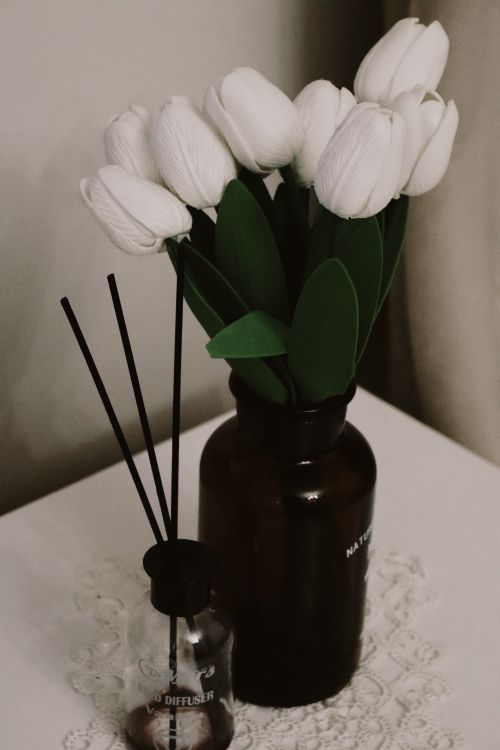 Free Beautiful arrangement of white tulips in a vase alongside an aroma diffuser on a lace-covered table. Stock Photo