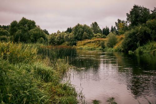 Free Peaceful river scene surrounded by lush greenery, ideal for nature and travel themes. Stock Photo
