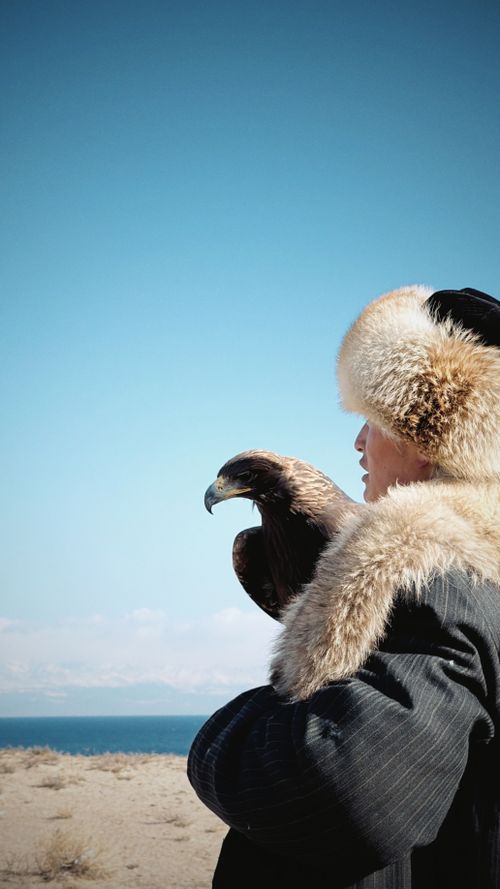 Free A traditional falconer with an eagle by Issyk-Kul Lake under a clear blue sky. Stock Photo