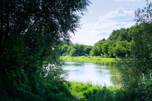 Free Peaceful river view with lush green trees on a sunny day, perfect for nature tranquility concepts. Stock Photo