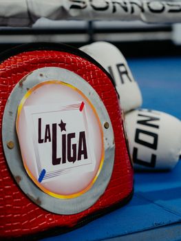 Close-up of a boxing championship belt with gloves in Buenos Aires, Argentina.