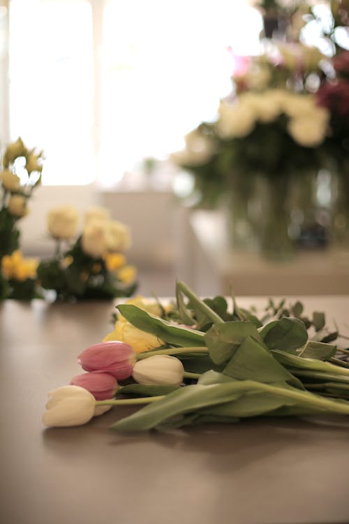 Photo Of Tulips On Table