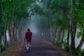 Artwork for The One Decision That Accelerates Your Business: Stephen Wright on BizBlend