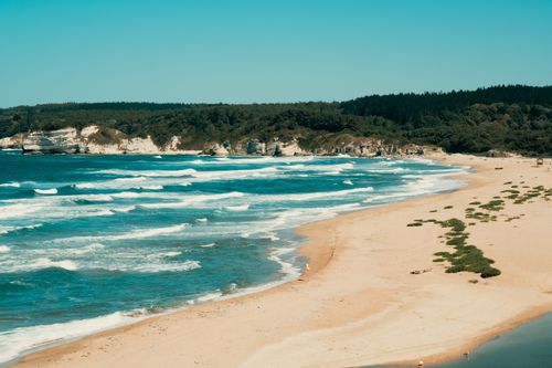 Free Idyllic beach scene with golden sand and gentle waves, surrounded by lush greenery. Perfect summer escape. Stock Photo