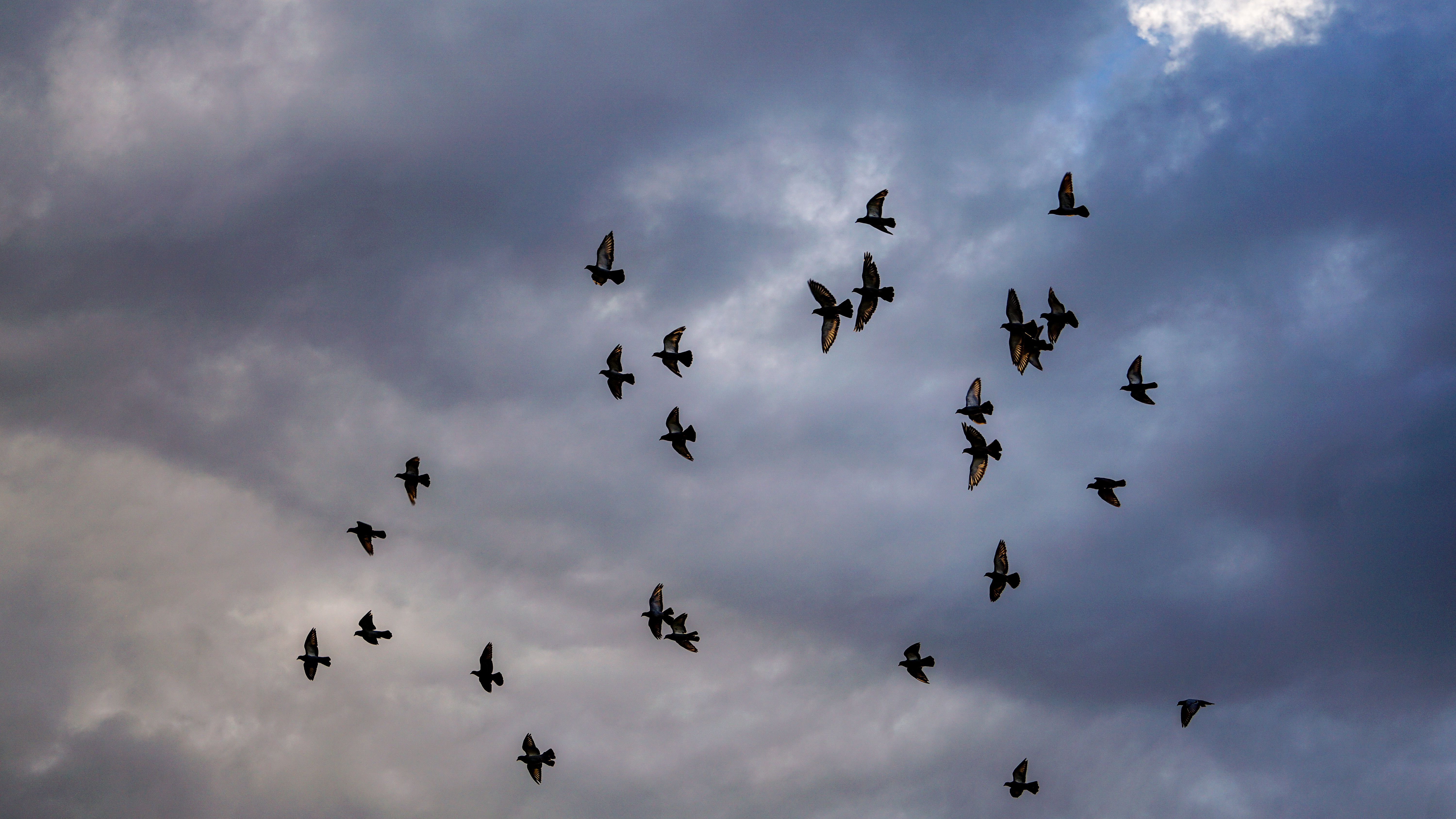 No One Seems to Like Flock Cameras but Here’s How They May Help Your Personal Injury Case. - floridainjurylawyer — Photo by M