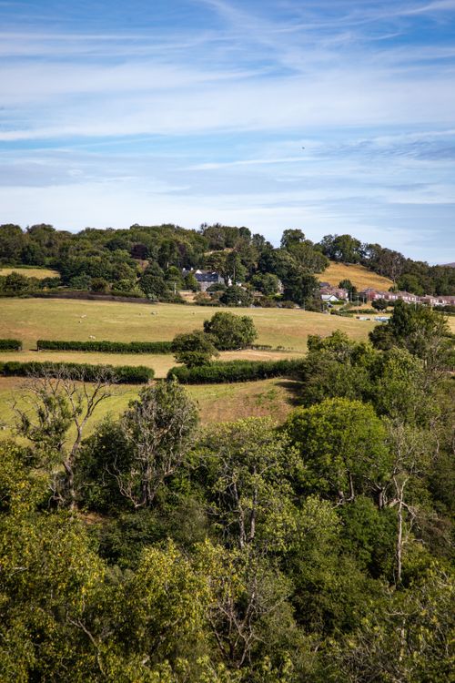 Free Beautiful view of the lush, green Welsh countryside under a clear blue sky. Stock Photo