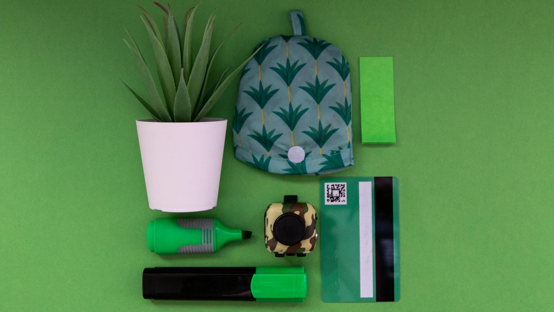 Vibrant green office supplies laid out on a green background, featuring potted plant and bank card.