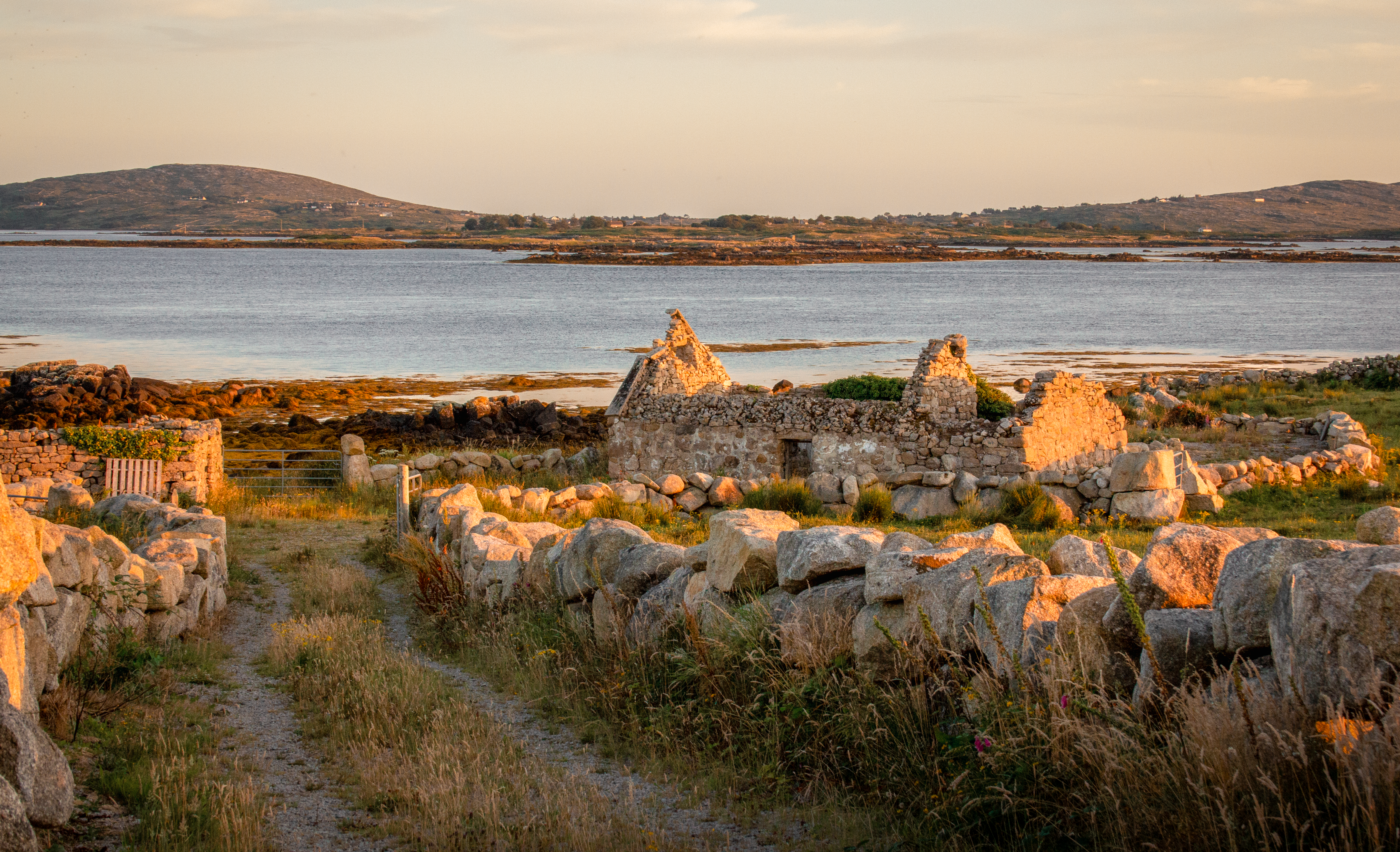I plan cheap holidays for a living — here's how to visit Ireland on a budget — Photo by Daniel  Wells on Pexels