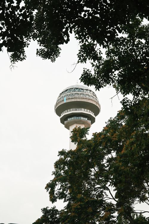 Free Modern observation tower peeking through lush greenery with overcast sky. Stock Photo