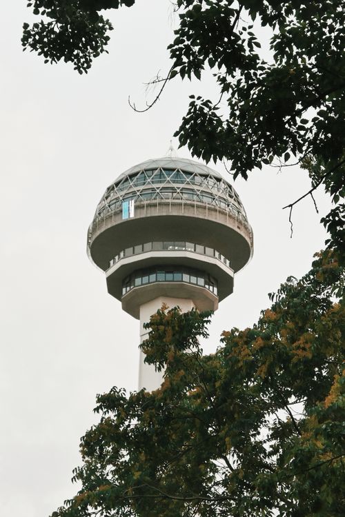 Free A contemporary observation tower framed by leafy trees against a clear sky. Stock Photo
