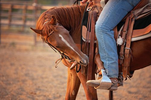 Free Close-up of cowboy's legs on horse in a ranch during sunset, evoking rustic charm. Stock Photo