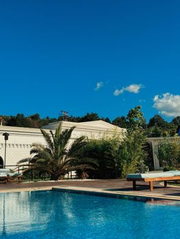 A luxurious poolside view with palm trees and clear blue skies, ideal for summer relaxation.