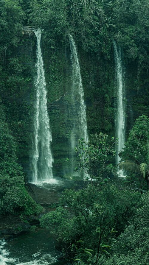 Free Breathtaking view of lush waterfalls cascading in a Colombian jungle, surrounded by vibrant greenery. Stock Photo