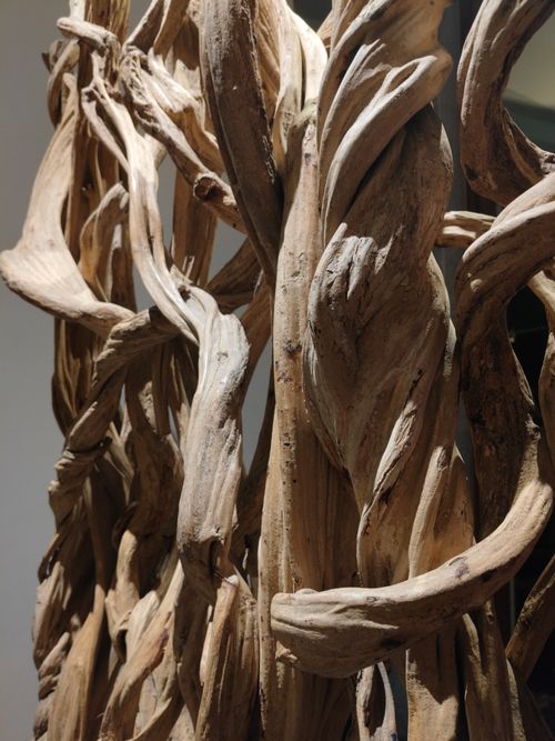 Free Close-up of intricately intertwined driftwood showcasing natural textures. Stock Photo