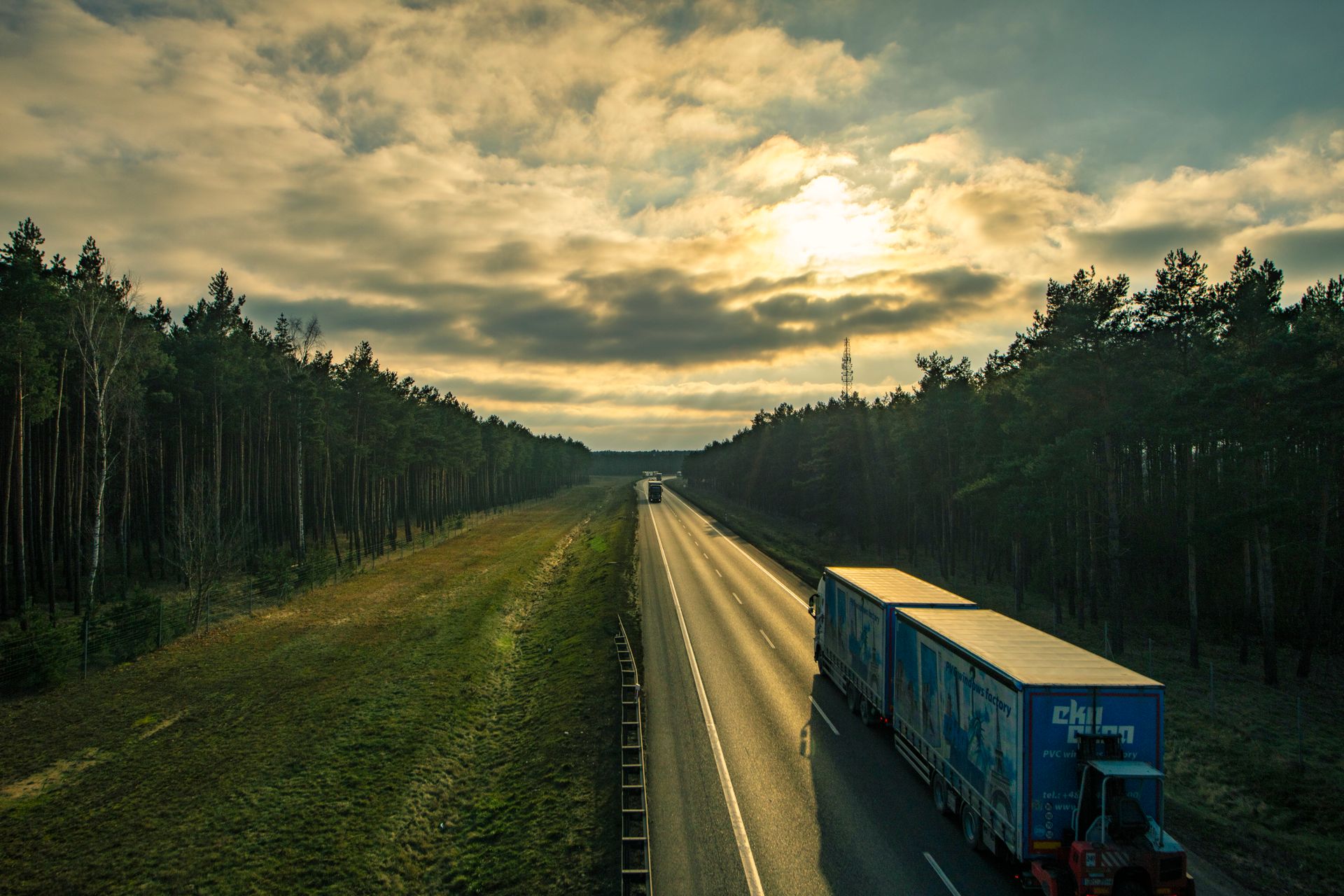 Freight trucks travelling a forest highway at sunset
