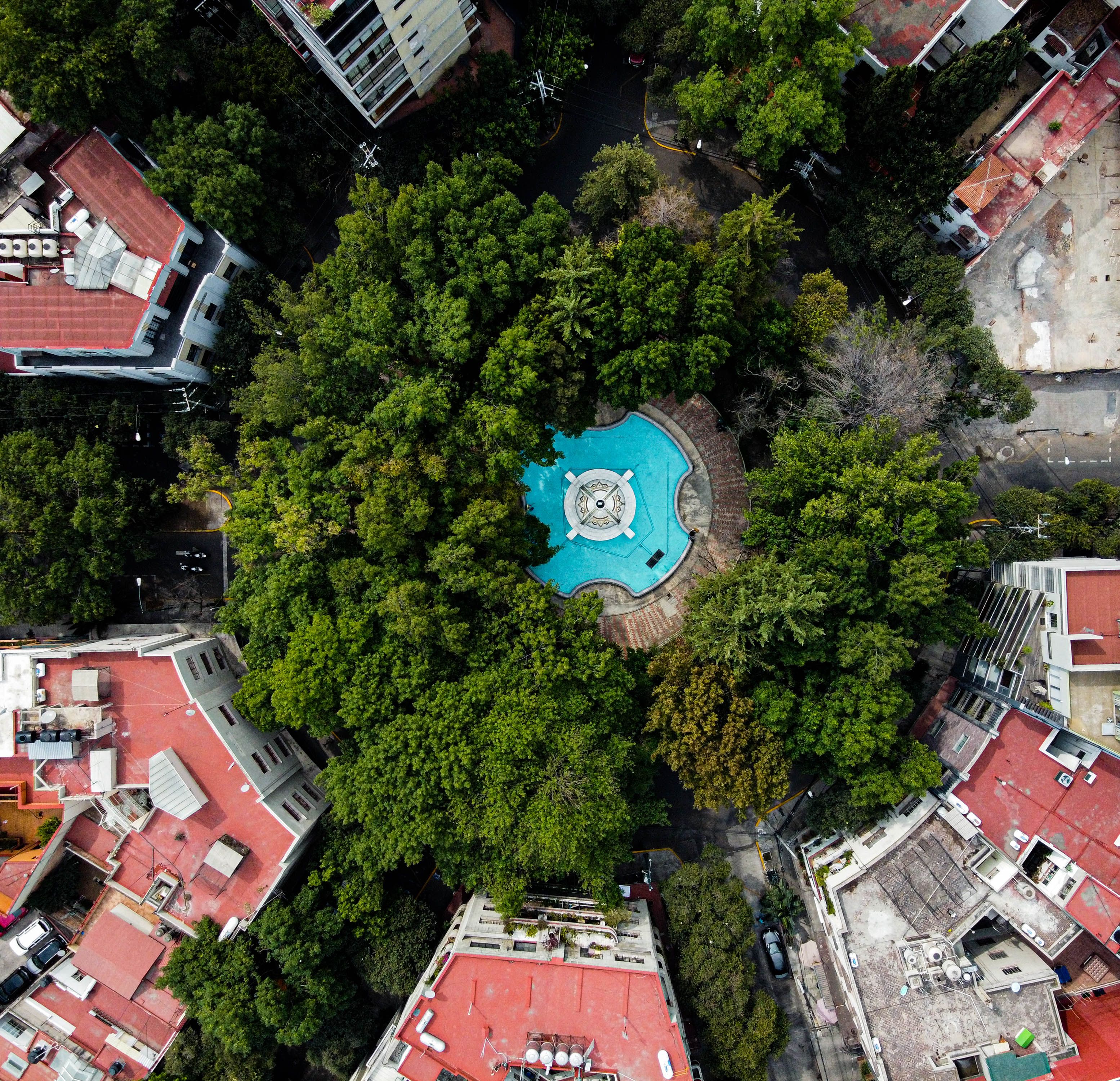 Are Any U.S Cities Running Completely on Green Energy? Just 3 — Photo by Andrés Semo on Pexels