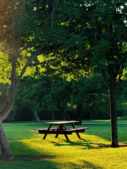 Free A tranquil scene with a wooden picnic table under sunlit trees in İstanbul park. Stock Photo