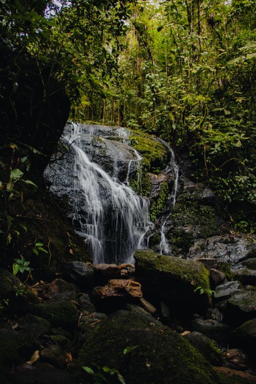 Free Serene waterfall cascading over moss-covered rocks in a lush Brazilian jungle setting. Stock Photo
