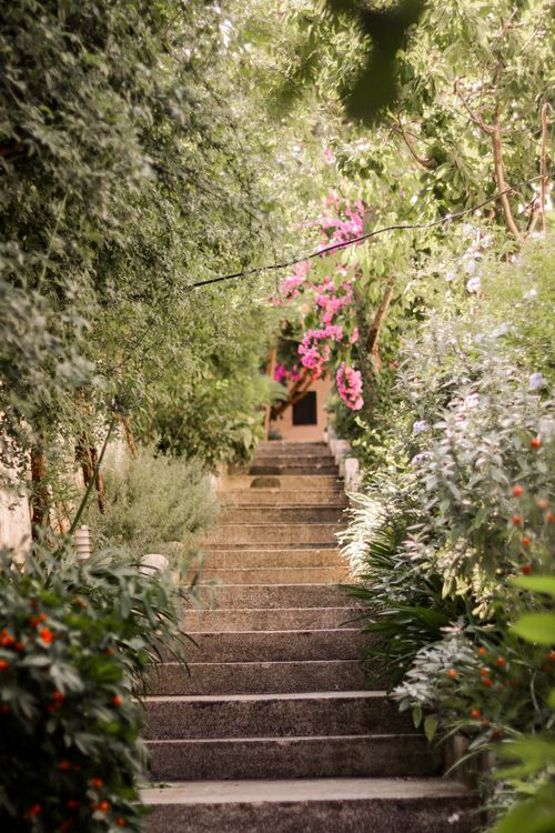 Free Charming outdoor stone staircase surrounded by vibrant greenery and colorful flowers, creating a peaceful garden retreat. Stock Photo