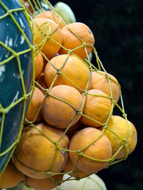 Free A vibrant cluster of oranges secured in a net, highlighting their freshness and color contrast against a dark backdrop. Stock Photo