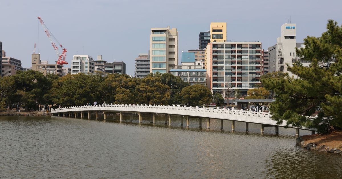 View of urban skyline with a bridge over a lake surrounded by greenery.
