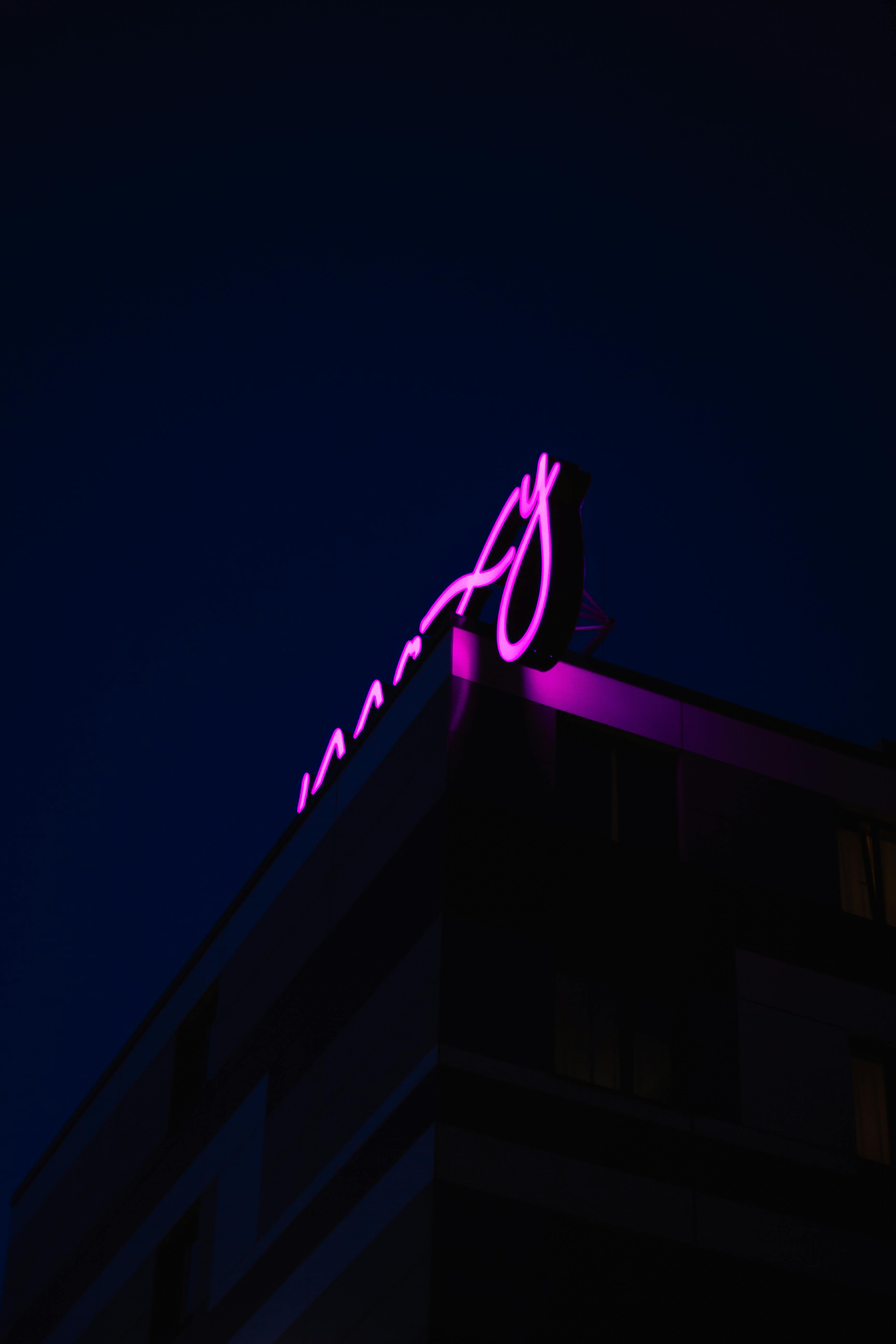 Neon Lights Photos, Download The BEST Free Neon Lights Stock Photos & HD  Images
