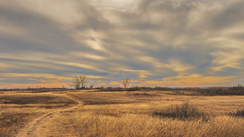 Free Serene prairie landscape in Saskatoon, Canada with vibrant sunset hues and wispy clouds. Stock Photo