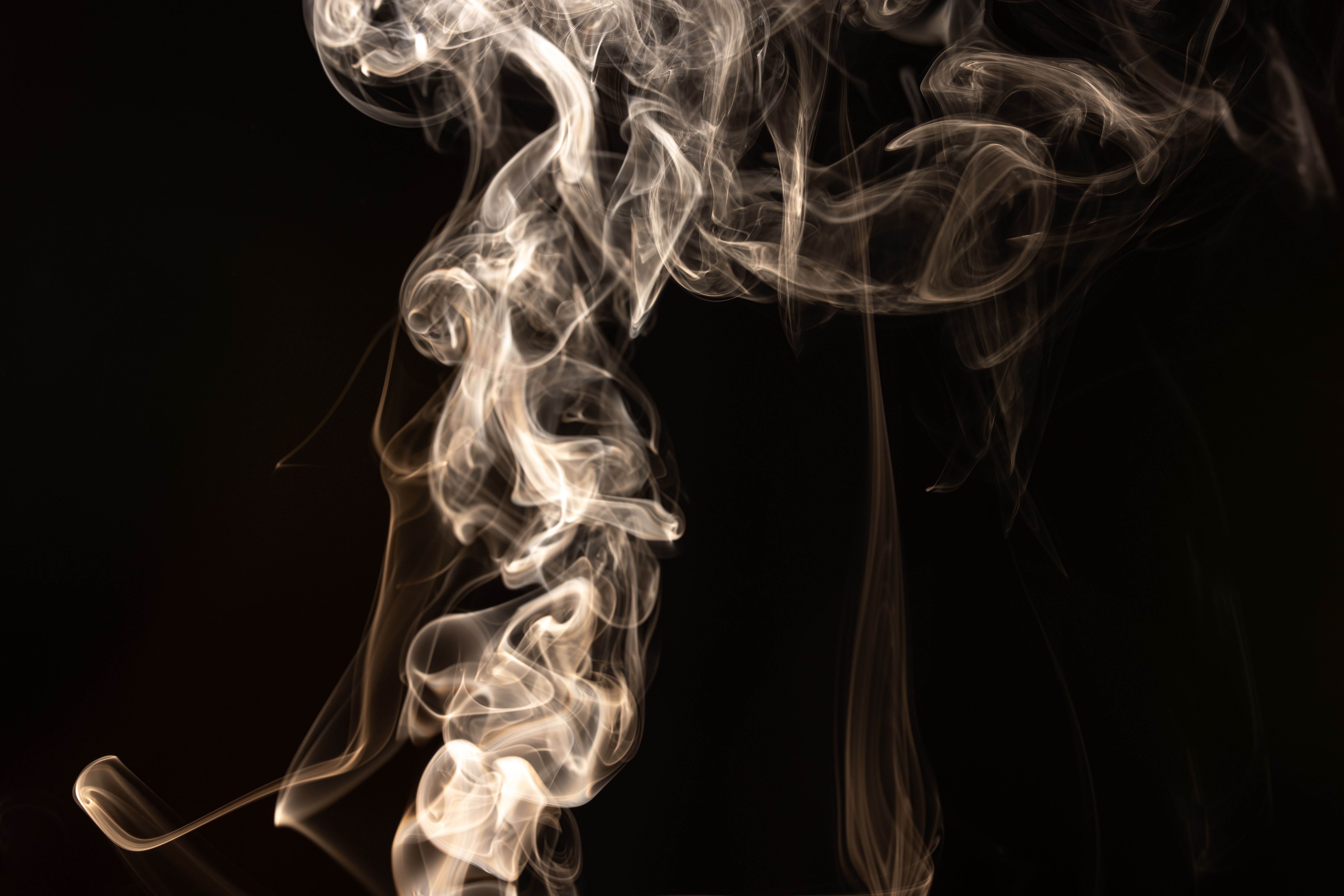 Vivid capture of white smoke swirling against a dark backdrop, creating mysterious organic shapes.