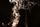 smoke transparent background