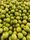 green apple