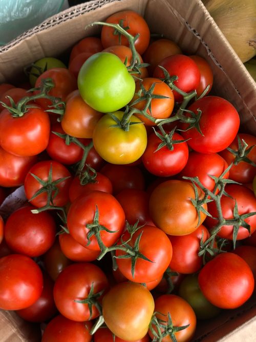 Free A top-down view of vibrant red and green tomatoes piled in a cardboard box at a market stall. Stock Photo